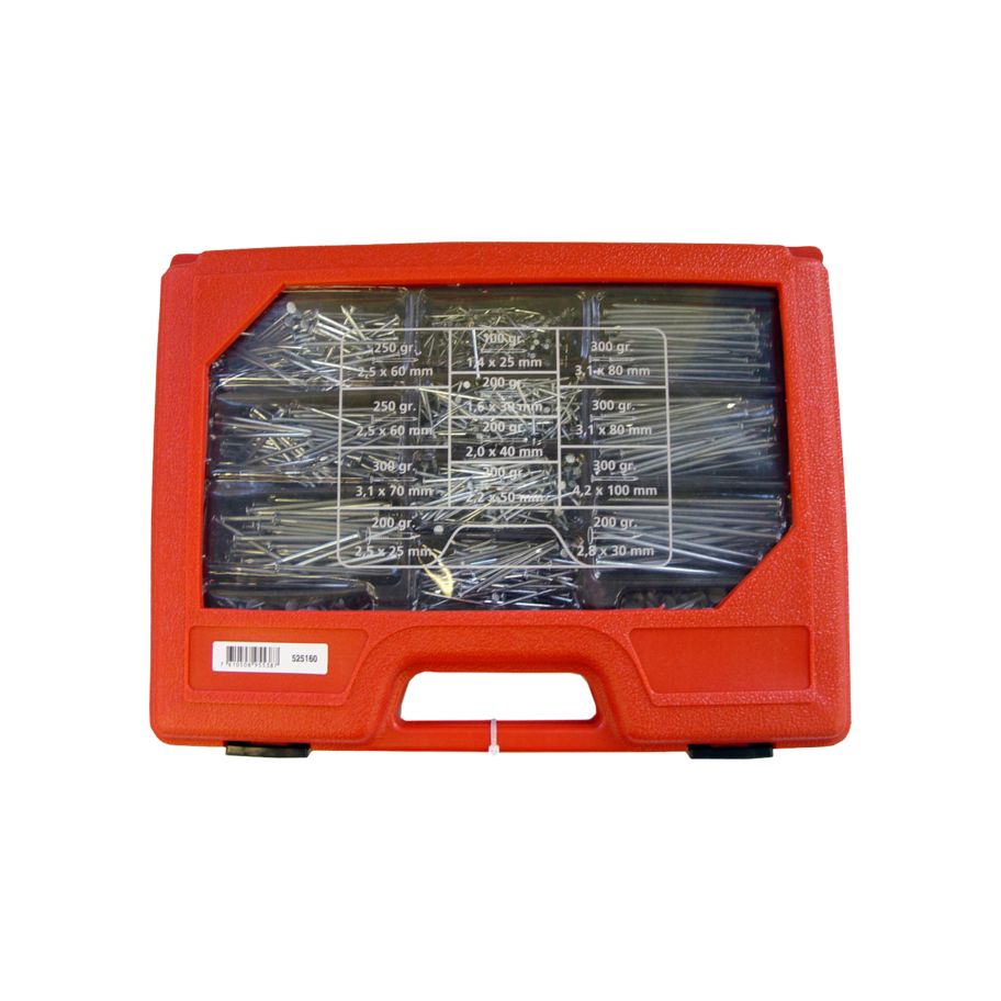 bestaPAC Nagelkoffer mit sortierten Grössen