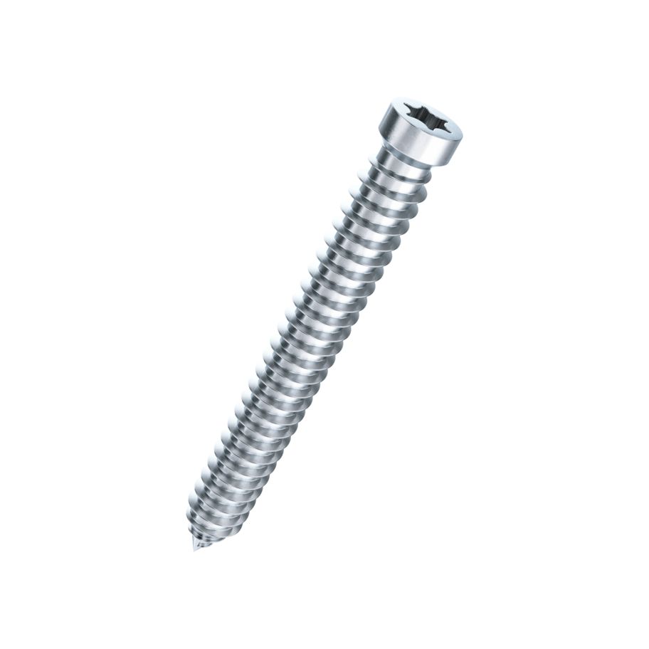 Zylinder-Fenstermontageschrauben T30 Stahl verzinkt blau