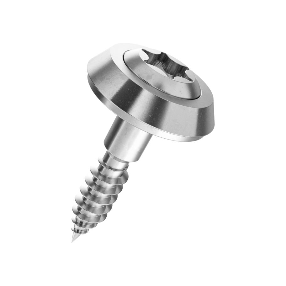 Linsensenk-Fassadenschrauben mit Cuvette u.Scheibe T A2